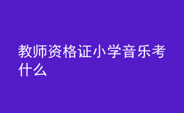 教師資格證小學(xué)音樂(lè)考什么