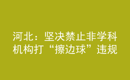 河北：堅(jiān)決禁止非學(xué)科機(jī)構(gòu)打“擦邊球”違規(guī)開展學(xué)科類培訓(xùn)