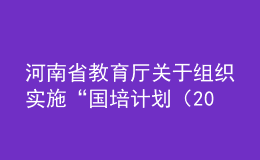 河南省教育廳關(guān)于組織實施“國培計劃（2020）” ——河南省中小學(xué)幼兒園教師培訓(xùn)項目的通知