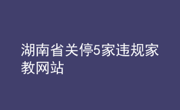 湖南省關(guān)停5家違規(guī)家教網(wǎng)站