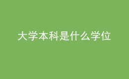 大學(xué)本科是什么學(xué)位